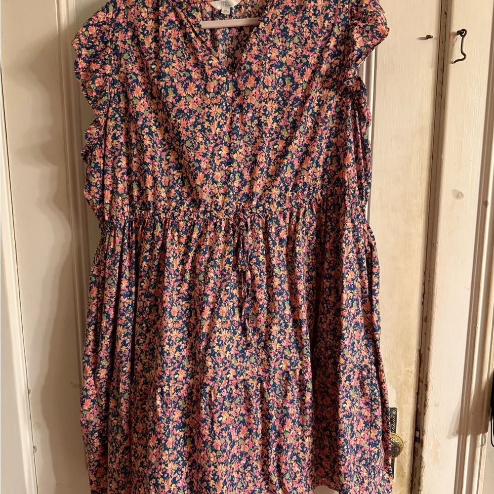 Time and Tru Floral Dress - Pink and Blue